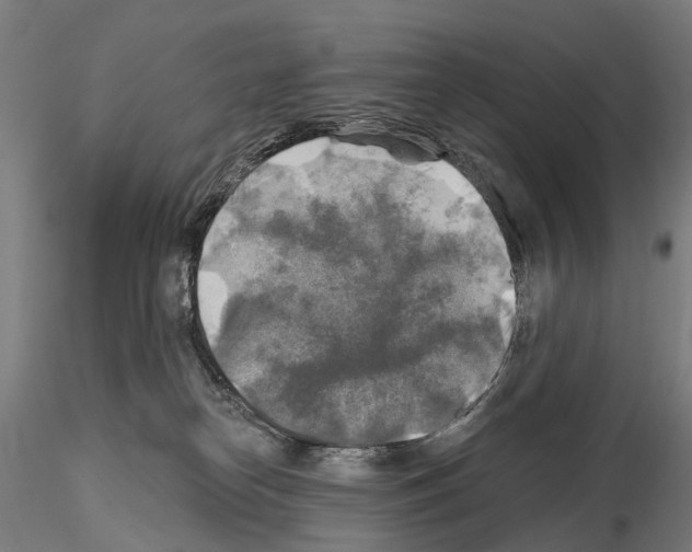 X0000114650182200912011120