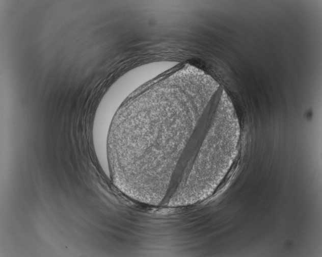 X0000114650186200912011120