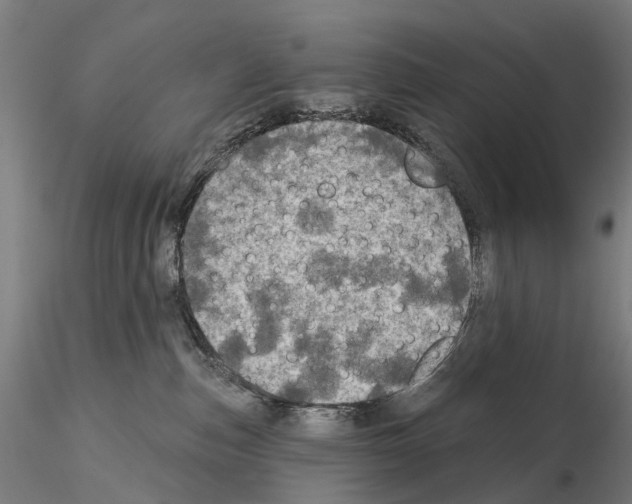 X0000114650187200912011120