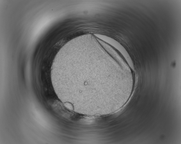 X0000114650190200912011121