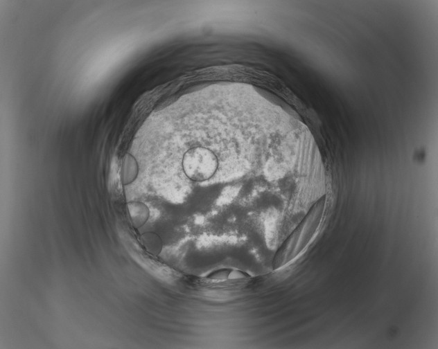 X0000114650191200912011121