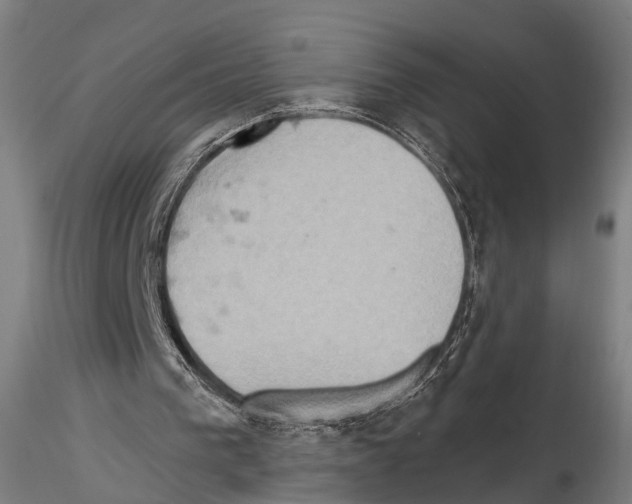 X0000114650193200912011120