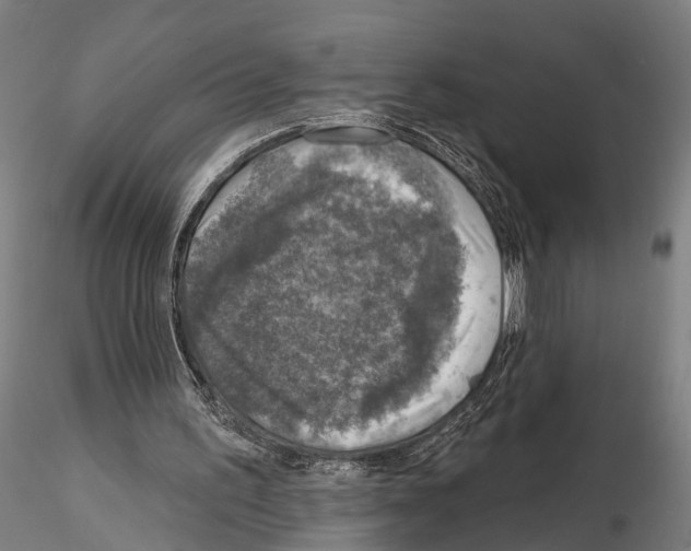 X0000114650195200912011120