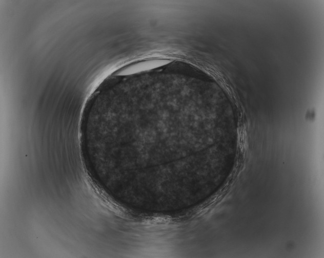 X0000114650196200912011120