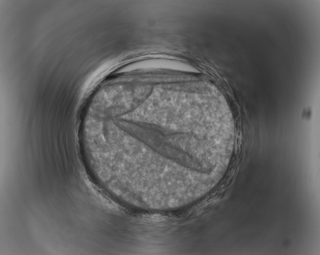 X0000114650197200912011120