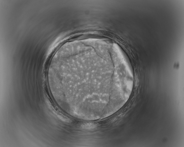 X0000114650198200912011120