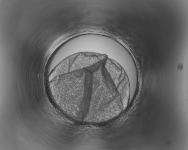 X0000114650199200912011120