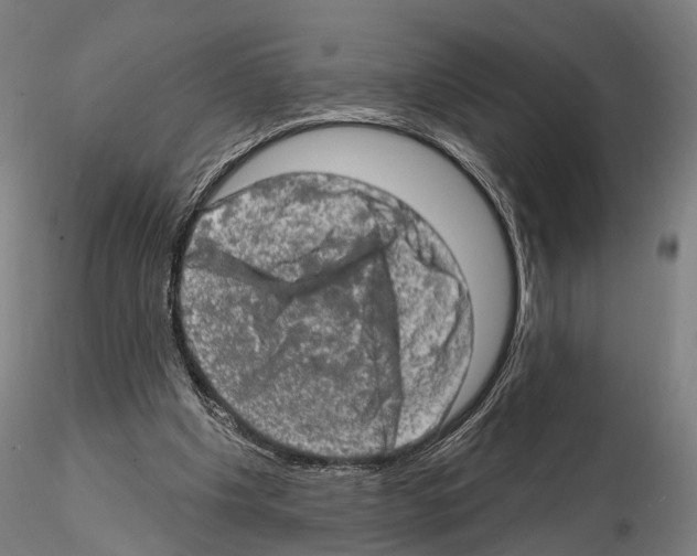 X0000114650201200912011120