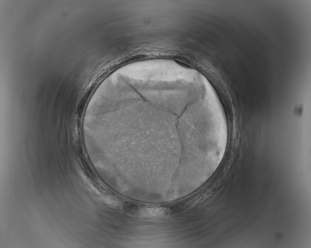 X0000114650202200912011120