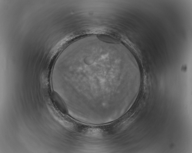 X0000114650203200912011120