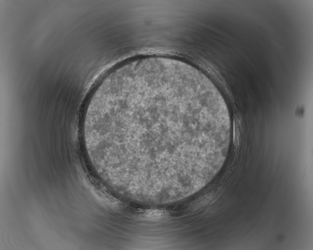 X0000114650204200912011120