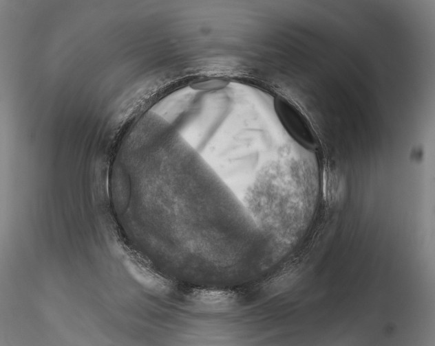 X0000114650205200912011120