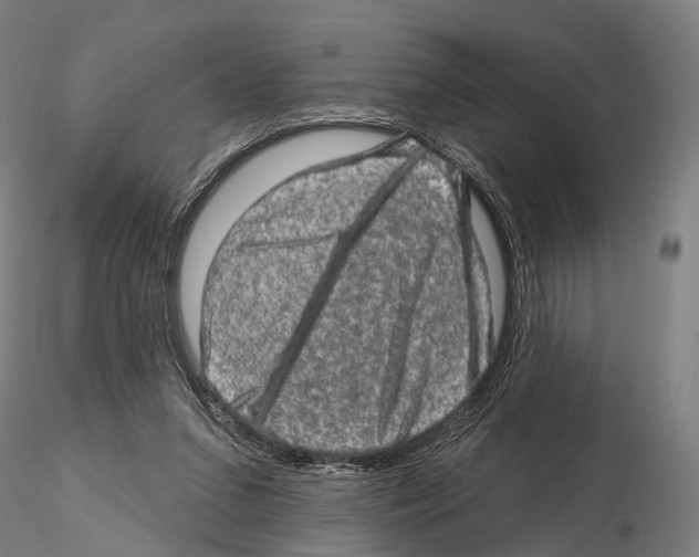 X0000114650207200912011120