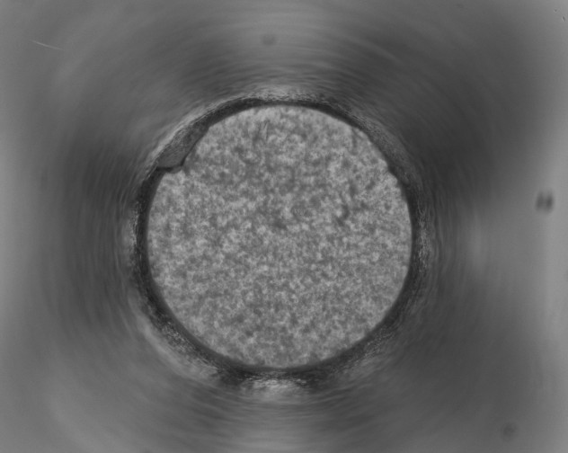 X0000114650208200912011120