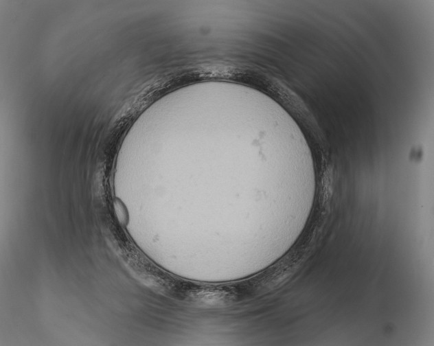 X0000114650209200912011120