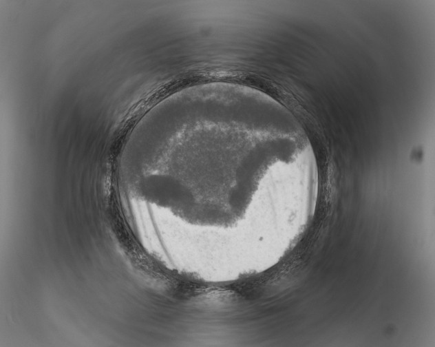 X0000114650210200912011120