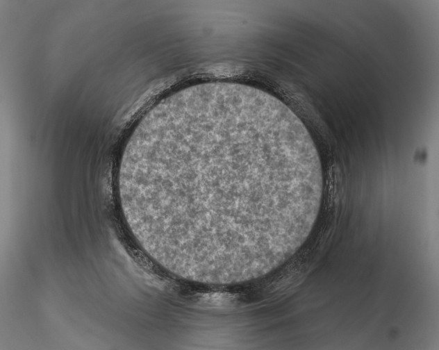 X0000114650212200912011120