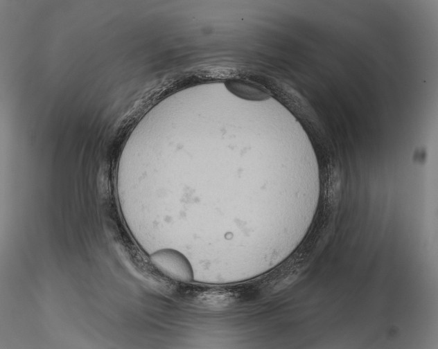 X0000114650213200912011120