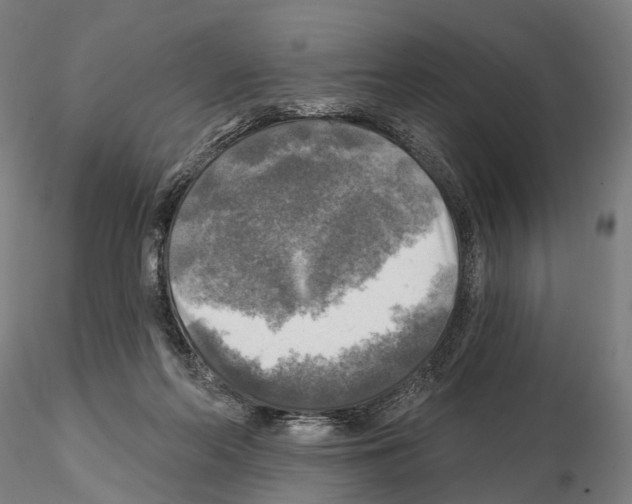 X0000114650214200912011120