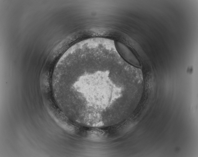 X0000114650215200912011120