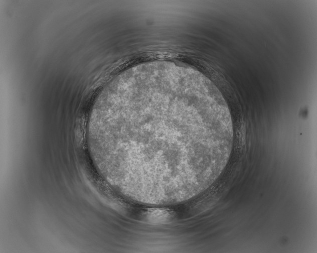 X0000114650218200912011120