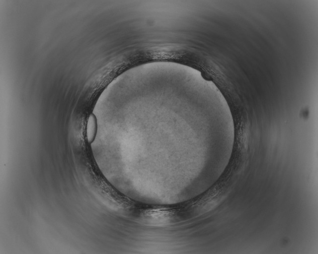 X0000114650219200912011120