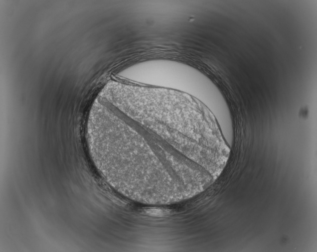 X0000114650221200912011120