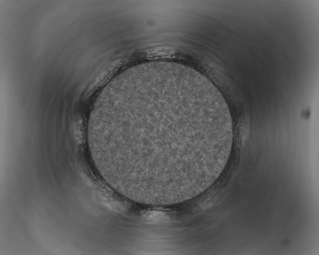 X0000114650224200912011119