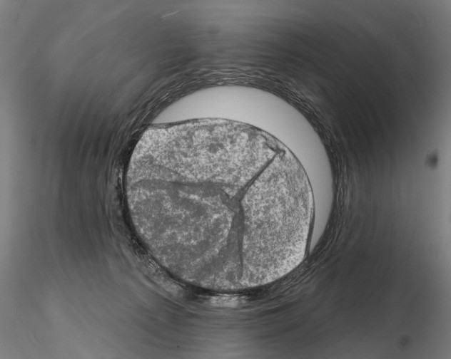 X0000114650225200912011119