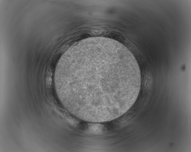 X0000114650226200912011119