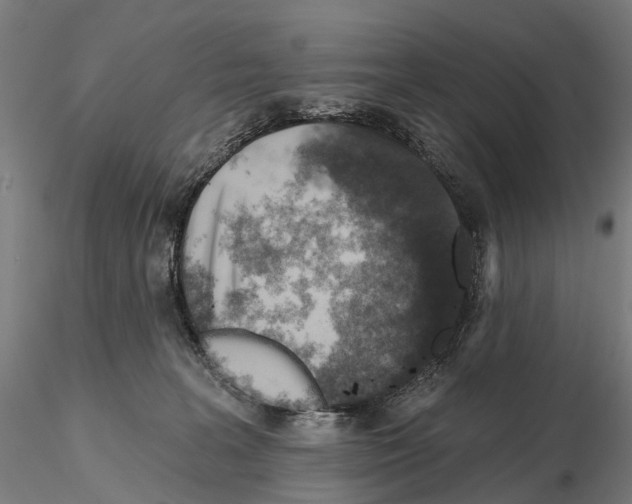 X0000114650227200912011119