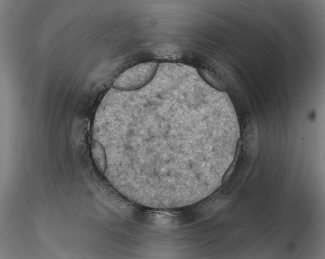 X0000114650229200912011119