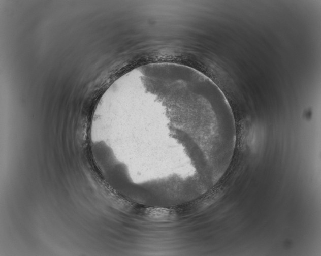 X0000114650230200912011119