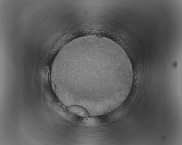 X0000114650231200912011119