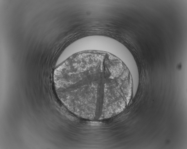 X0000114650233200912011119