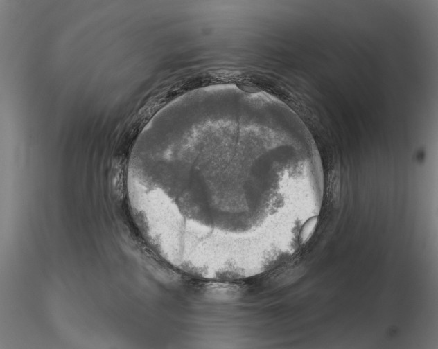 X0000114650234200912011119