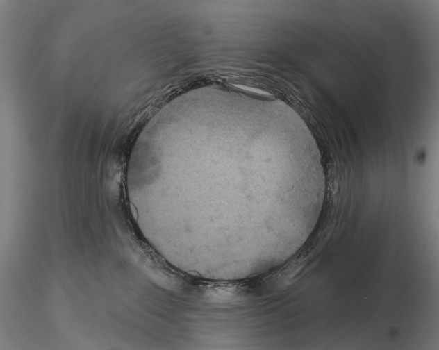 X0000114650235200912011119