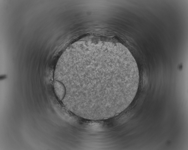 X0000114650236200912011119