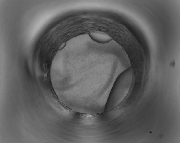 X0000114650239200912011119