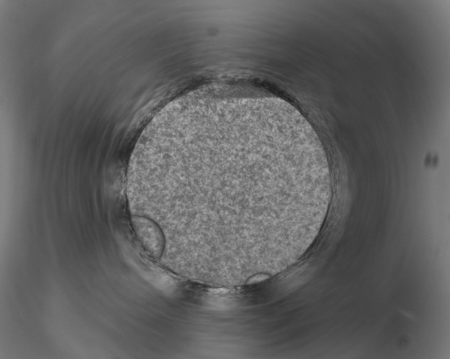 X0000114650240200912011119