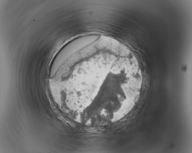 X0000114650241200912011118