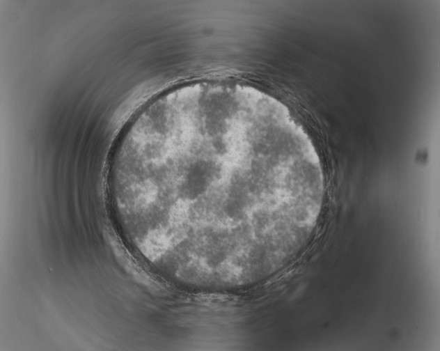 X0000114650242200912011118