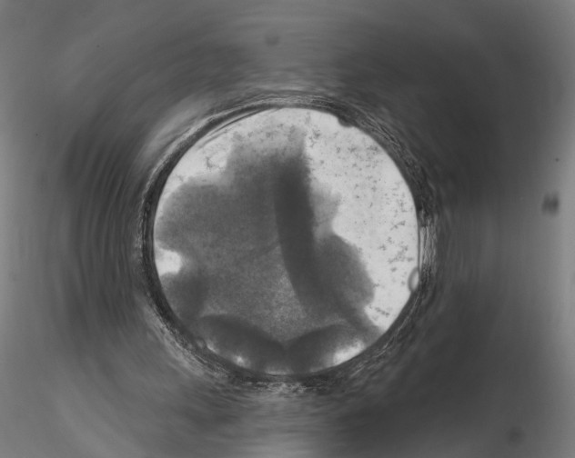 X0000114650243200912011118