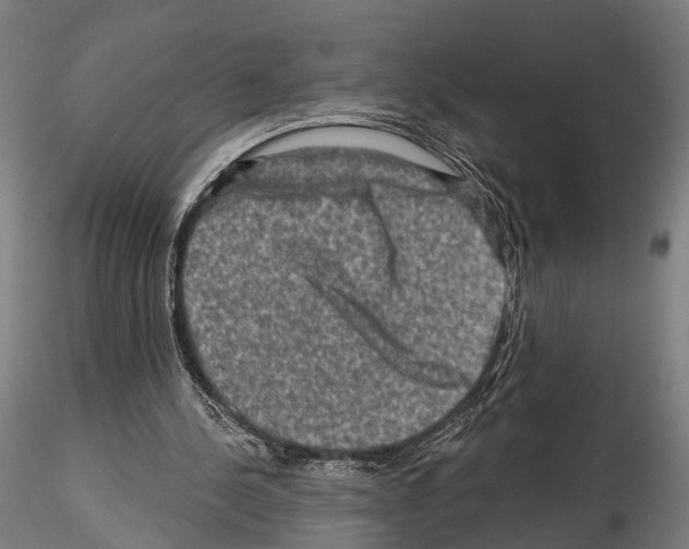 X0000114650244200912011118