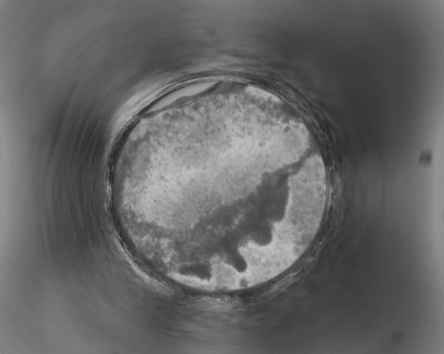 X0000114650245200912011118