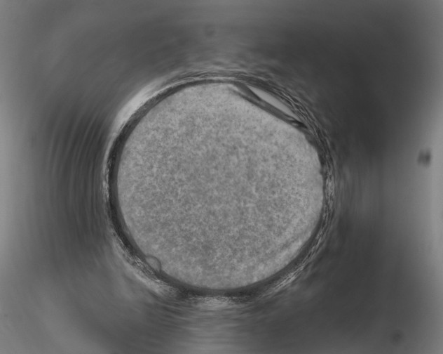 X0000114650246200912011118