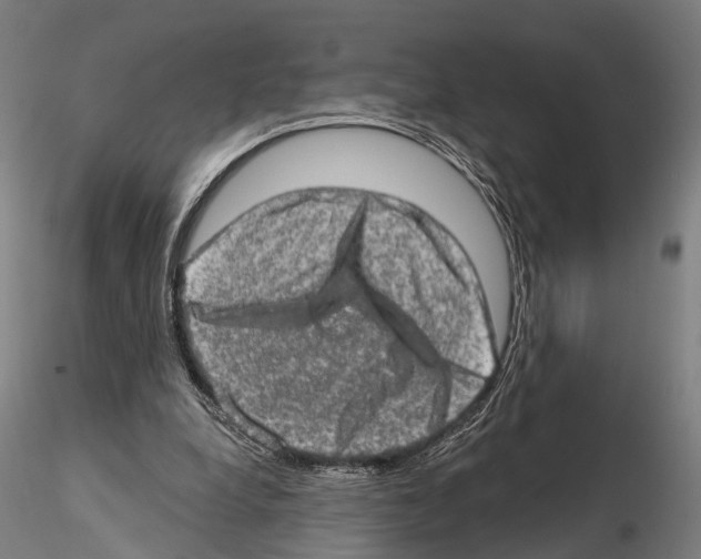 X0000114650248200912011119