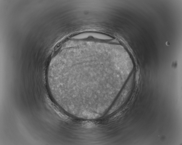 X0000114650249200912011119