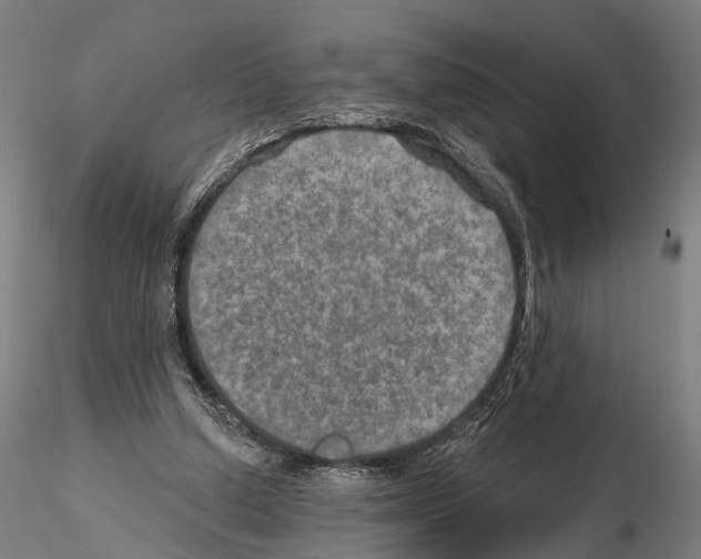 X0000114650250200912011119