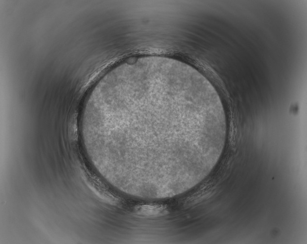 X0000114650251200912011119